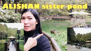 ALISHAN SISTER POND | cheryl's TV