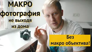 Макро фотография | Урок и лайфхаки как фотографировать без макро объектива