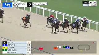 Gulfstream Park Carrera 2 - 28 de Octubre 2023