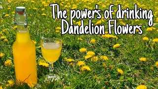 How To Make Dandelion Cordial - A Delicious Sweet Dandelion Drink 🍹