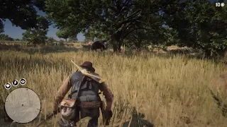 Red Dead Redemption 2: Hunting The Legendary Tatanka Bison Animal And Location - PS5 No Commentary