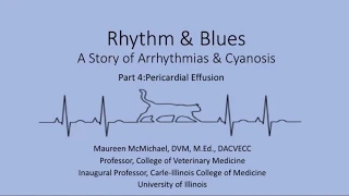 Rhythm and Blues: Part 4, Pericardial Effusion, and Summary