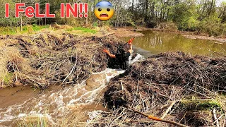 Draining Father Beaver Dam! | BEAVER DAM REMOVAL In Beaver Dam Creek! Remastered!