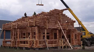 Строим дом из бревна ручной рубки больших размеров в Подмосковье.