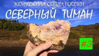 Северный Тиман / Зайцы / Стоянка оленеводов / Изба промысловика