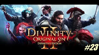 Divinity: Original Sin 2 Gameplay Walkthrough / Part 23 - Dallas' Assistants, Lady O War, Tarquin