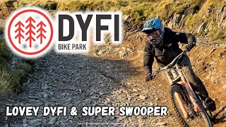 The best RED trails at DYFI Bike Park