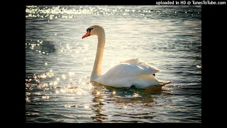 Swan Lake Op.20 - Act II Pt.1