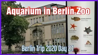 AQUARIUM IN BERLIN ZOO / BERLIN TRIP 2020 DAY 2.1