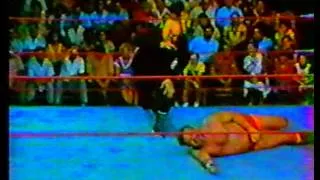 WWC: The Assasins vs. Big Red & Victor Jovica (1982)