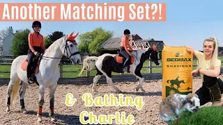 Farrier Visit, Bathing Charlie & Another Matchy Matchy Set?! | Daily Vlog | Lock Down Day 23