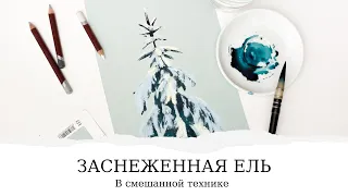 Заснеженная ель в смешанной технике акварель и пастель | Открытый урок от Елены Громовой
