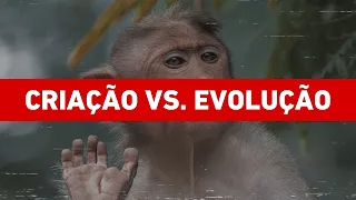 CRIACIONISMO vs. Teoria da Evolução | Biólogo Henrique desafia Marcos Eberlin para debate