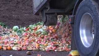 Composting In San Diego Feels Growing Pains