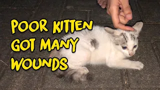#rescued - Poor kitten attacked by a cat