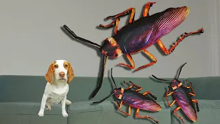 Puppy vs Giant Cockroach Invasion Prank! Cute Puppy Dog Indie Battles The Biggest Bugs in the World