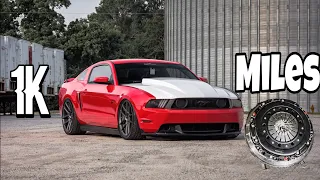 1000 Miles Later | 11-14 Mustang Gt Vengeance Clutch Review
