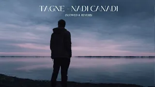 TAGNE - NADI CANADI [ Slowed & Reverb ]