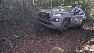 2019 RAV4 Adventure Terrain Select and 3 Wheeling