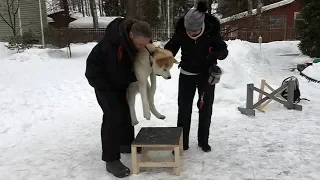 ТОП-5 ошибок недели. Выпуск 2.