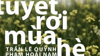 Phạm Hoài Nam - Tuyết Rơi Mùa Hè (Trần Lê Quỳnh) Lyric Video