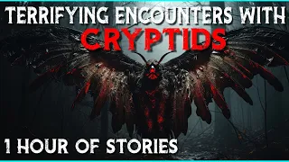 Terrifying Encounters with Cryptids - 1 Hour Of Stories