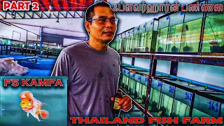 Thailand flowerhorn farm tour | flowerhorn breeder | F2 F5 KAMFA SRD 💥😍
