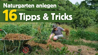 Das darf in KEINEM Naturgarten fehlen - 16 Tipps & Tricks 💚