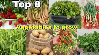 Top 8 vegetables we can grow at home / Garden || The one page [English cc]