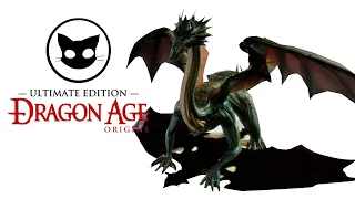 Dragon Age Origins Mr. Cat #7 Первый Дракон!