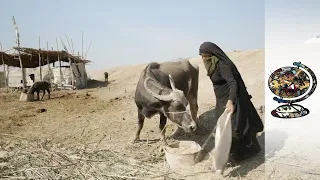 Iraq Struggling with Severe Water Shortages