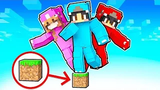 Minecraft But We’re On ONE TINY BLOCK! Pt 2