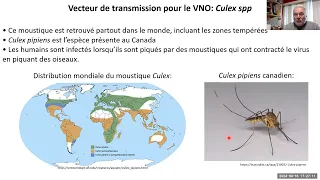 Le virus du Nil Occidental au Canada