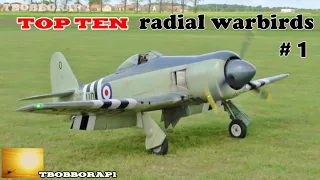 TOP TEN RADIAL WARBIRDS OF TBOBBORAPS RC WORLD # 1 - 2017