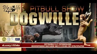 Pitbull Show "DOGWILLE" 2019