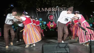Portugal - Madeira - Baile das Camacheiras