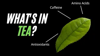 Chemical Composition of Green Tea - Polyphenols, Theanine and Antioxidants in Tea