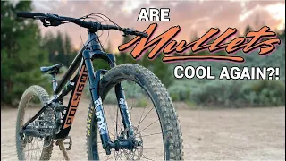 Can Running A Mullet Setup Improve Your Bike?