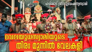 ആചാരപ്പഴമയുമായി വേലകളി ഹരിപ്പാട് | Haripad Festival Velakali 2024 VELA KALI | MARTIAL FOLK ARTS