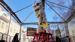 Acrobatic Lion Dance on Benches ~ Leung's White Crane || 2023 Chinese New Year Fair