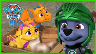 PAW Patrol Rescue Knights Save Baby Dragons and More! | PAW Patrol | Cartoons for Kids