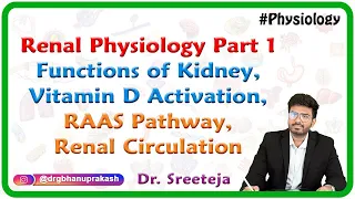 Renal Physiology  Part 1: Functions of Kidney, Vitamin D Activation, RAAS Pathway, Renal Circulation