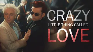 Crowley & Aziraphale || crazy little thing called love