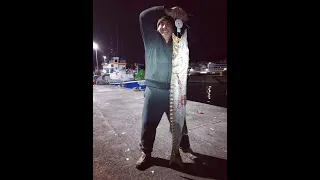 Pesca de bicudas gigantes! Giant Barracuda Fishing week ! Açores | Azores