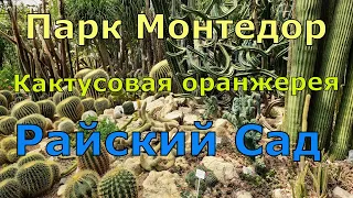 Парк Монтедор, кактусовая оранжерея и райский сад.  Крым 2021