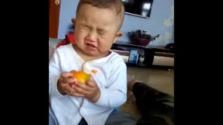 Children eating the lemon / Ребенок пробует лимон