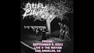 Ariel Pink - The Mayan Theater (Live 2023) Los Angeles, CA 9.8.23 Full Show [AUDIO]