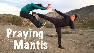 Real Praying Mantis Kung Fu - Amazing