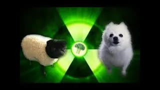 Imagine doggos radioactive 1 hour