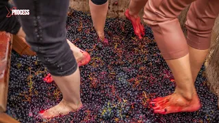 How is WINE made? The Amazing Art of FOOT PRESSED Wine Production!